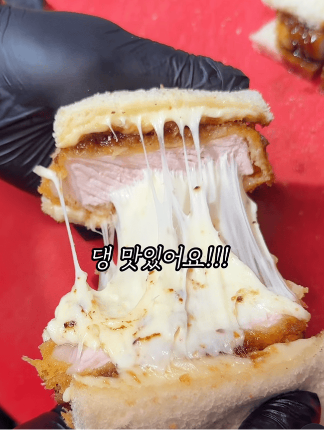 카츠헤세드 릴스