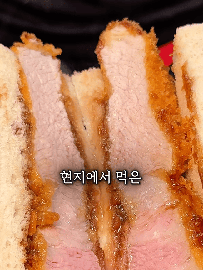 카츠헤세드 릴스